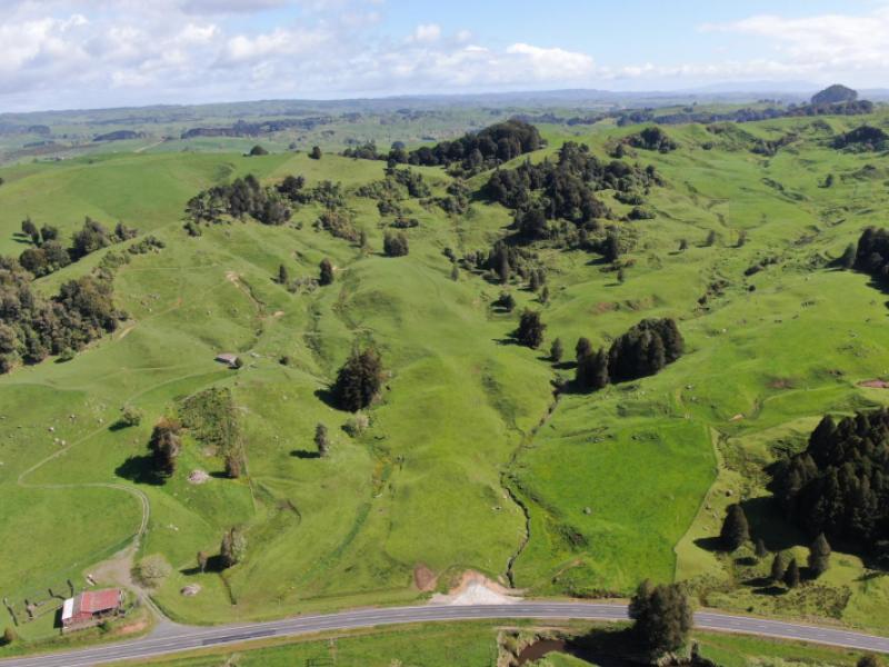 (rural)-1246-state-highway-3-piopio