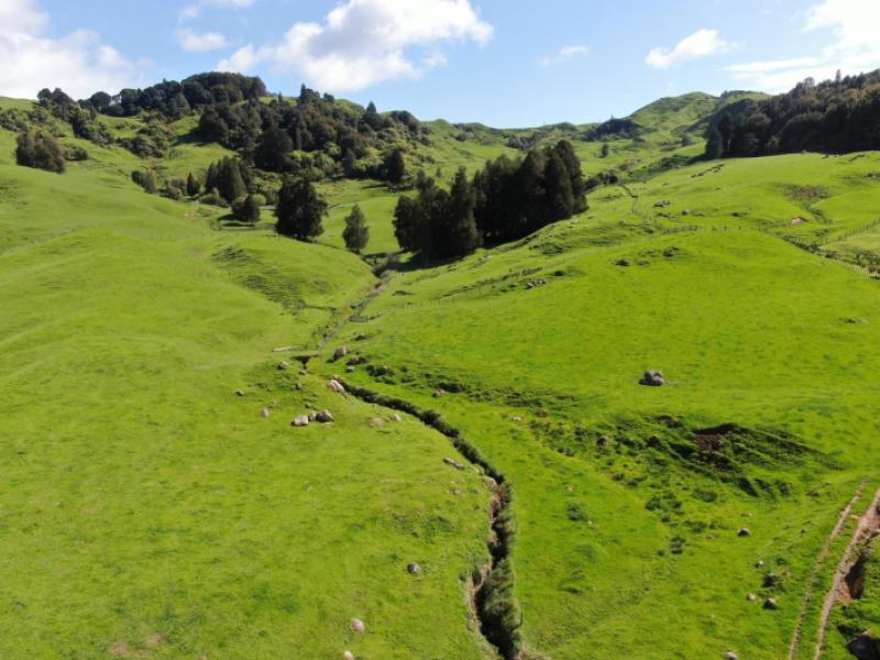 (rural)-1246-state-highway-3-piopio