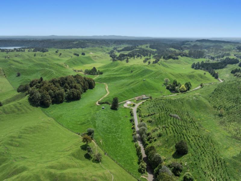 103-rendall-road-rotoma