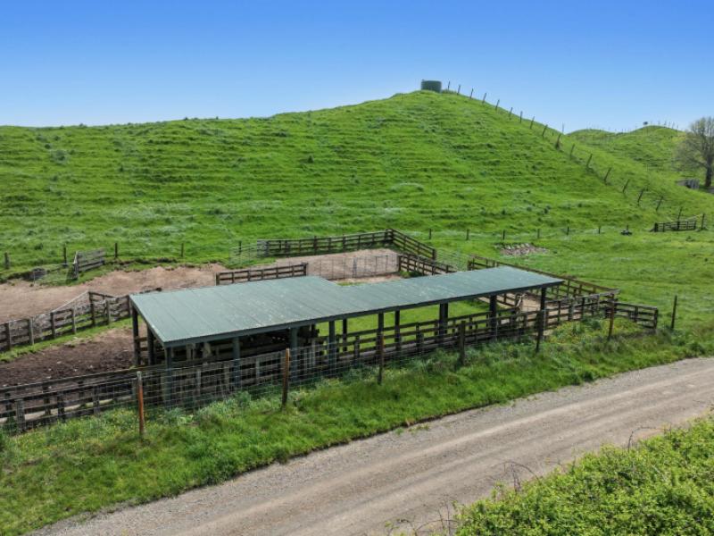 103-rendall-road-rotoma