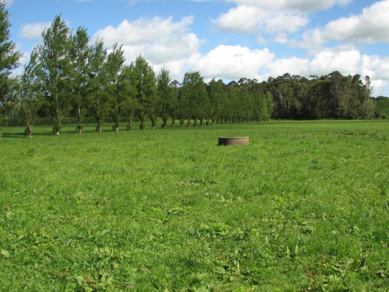 1682b-te-aroha-gordon-road-matamata