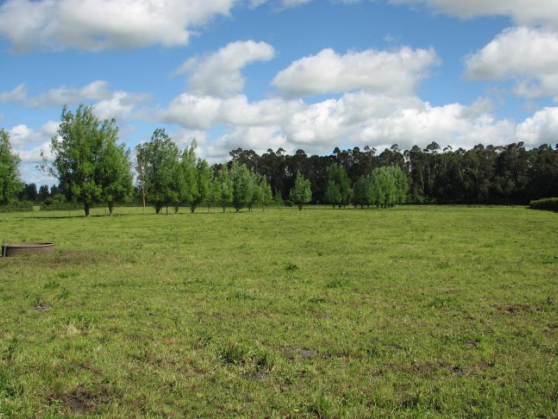 1682b-te-aroha-gordon-road-matamata