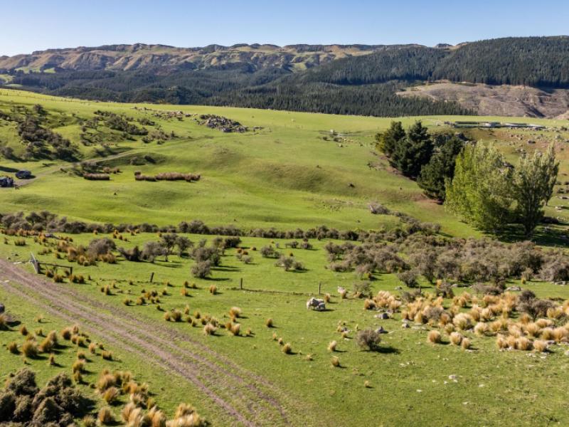 614-omihi-road-omihi