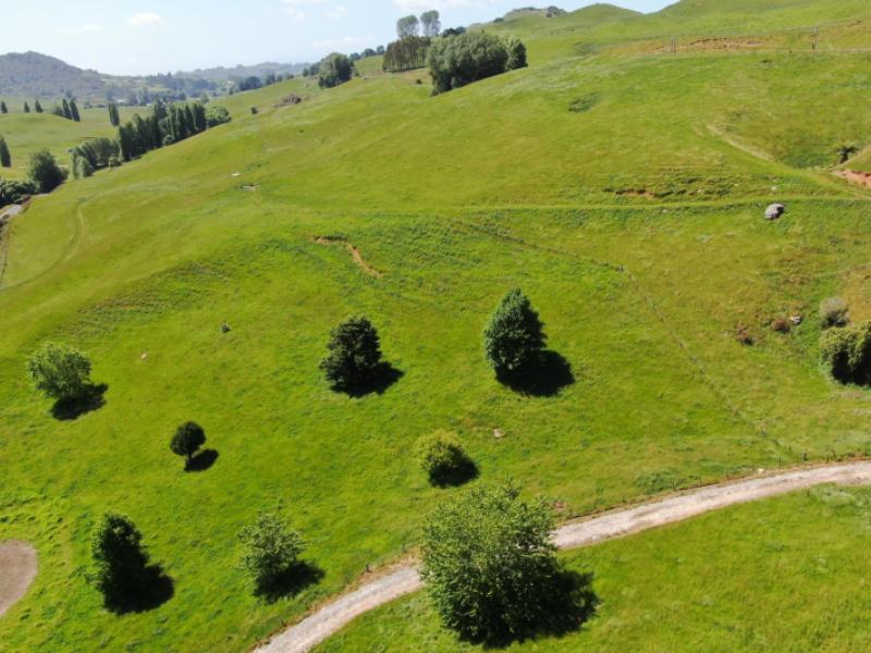 461-state-highway-30-te-kuiti