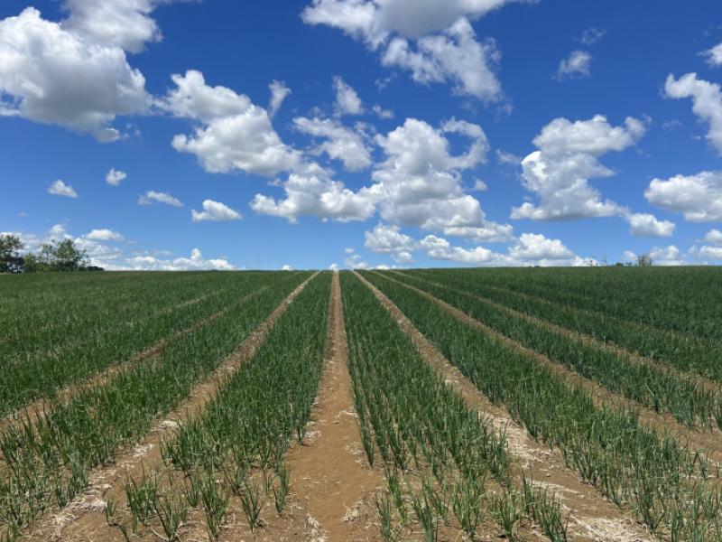 76-brookside-road-glenbrook