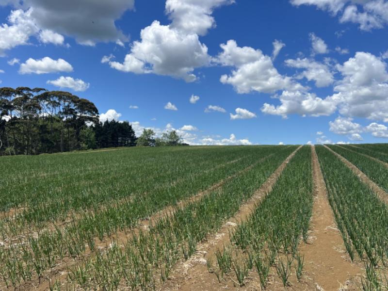 76-brookside-road-glenbrook