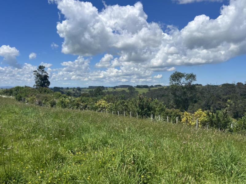 219-awhitu-central-road-awhitu