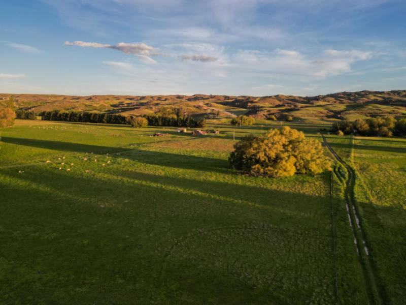 109-ida-valley---omakau-road-ophir