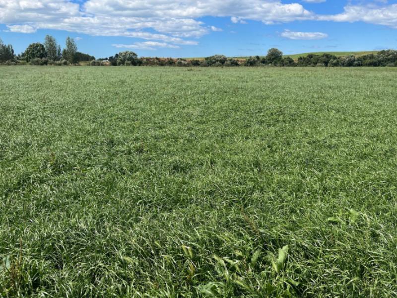 381-island-stream-road-maheno