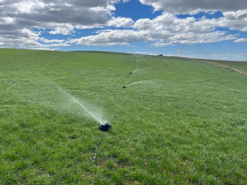 381-island-stream-road-maheno