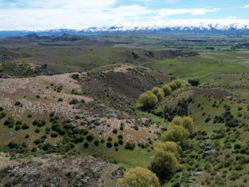 lot-1-ida-valley---omakau-road-ophir