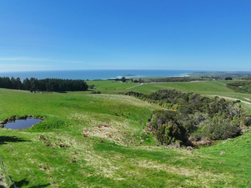 205-otokia-kuri-bush-road-kuri-bush