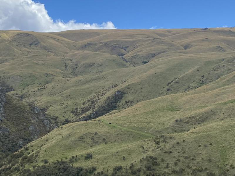 mt-hope-road-coal-creek-flat-roxburgh