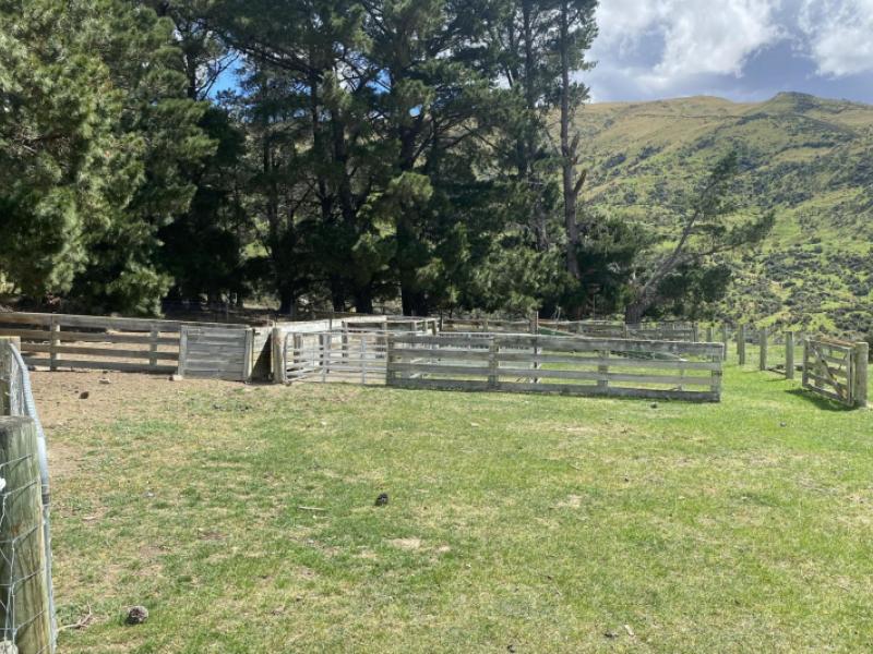 mt-hope-road-coal-creek-flat-roxburgh