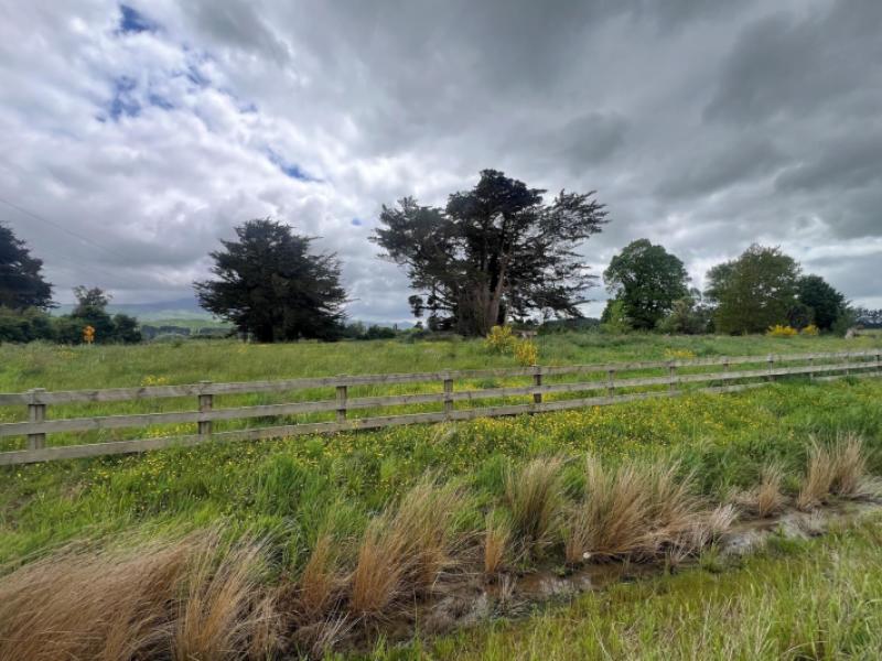 woodlands-road-woodville