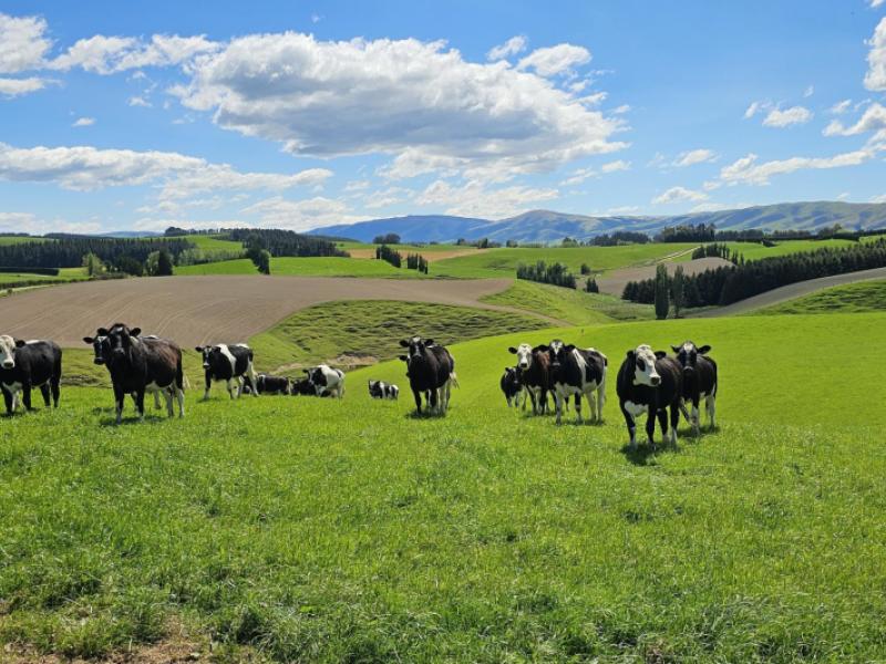 406-byars-road-chatton-north