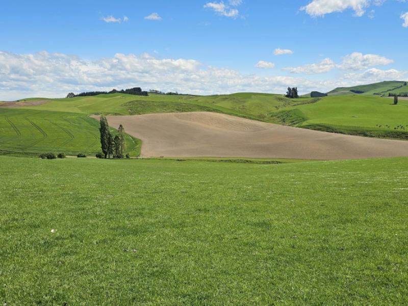 406-byars-road-chatton-north