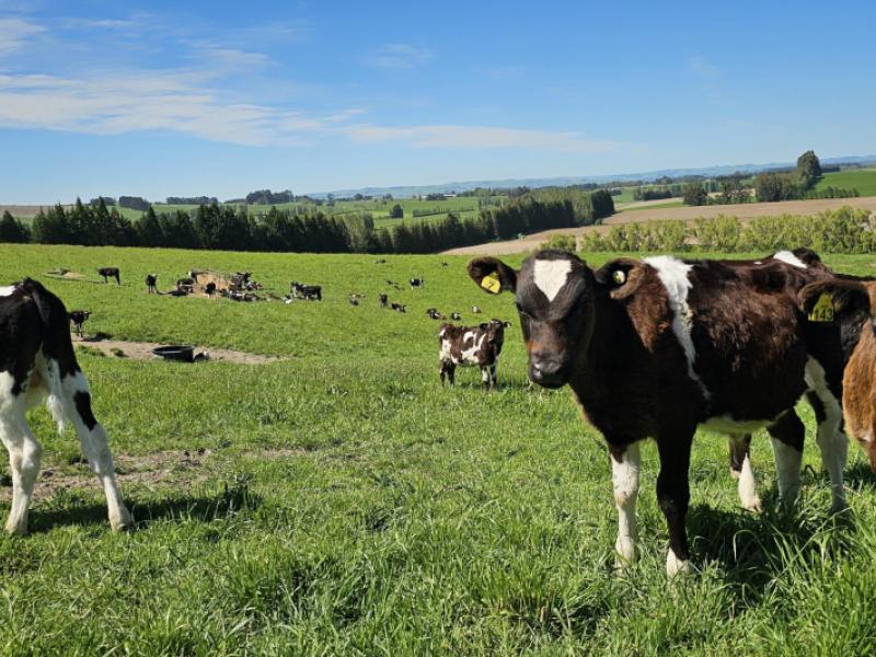 58-blackhill-road-chatton