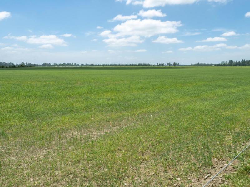 lot-2-gillanders-road-greendale