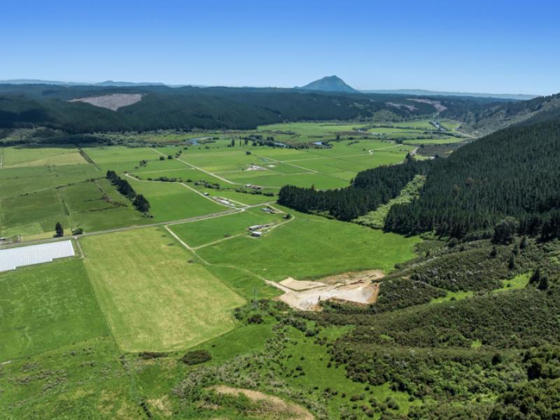 2106-galatea-road-waiohau