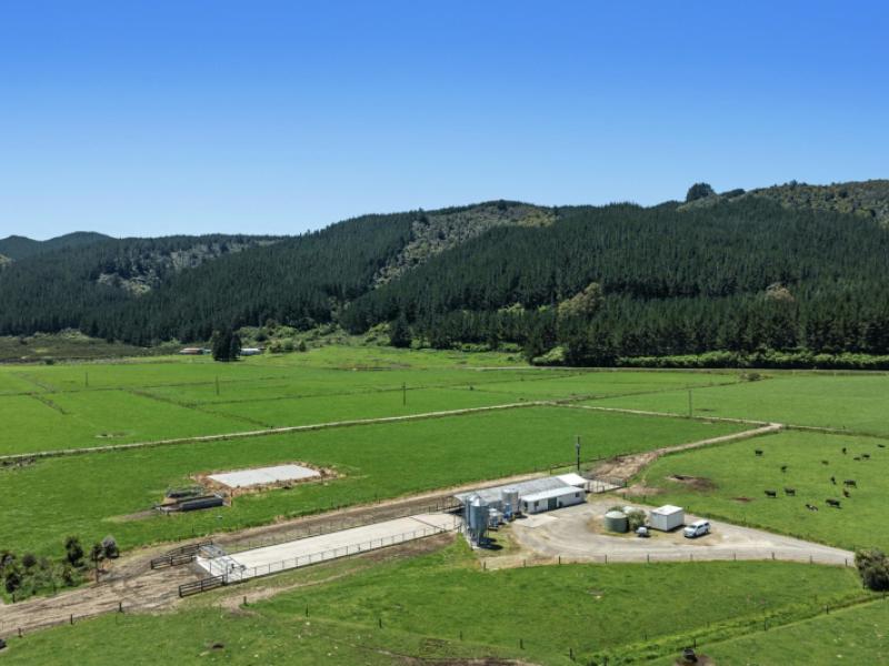 2106-galatea-road-waiohau