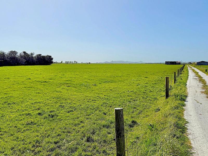 freyberg-road-ruawai