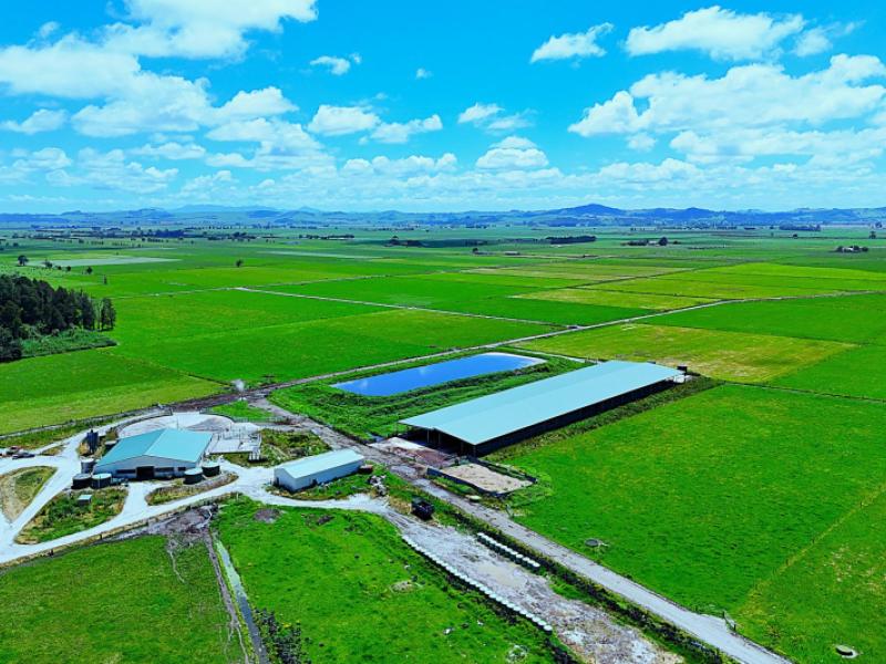 331-simpson-road-ruawai