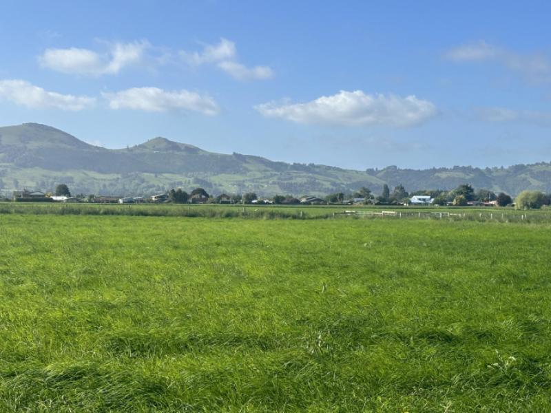 101-dukes-road-mosgiel