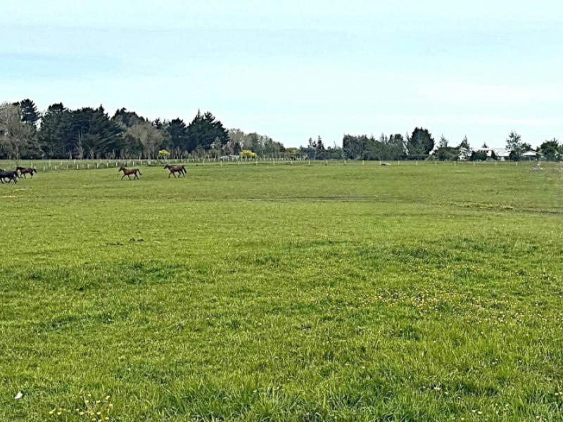 234-myross-road-myross-bush