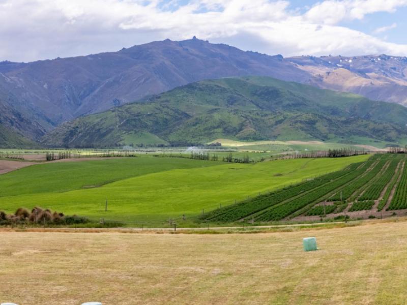 lot-26-mcarthur-road-alexandra