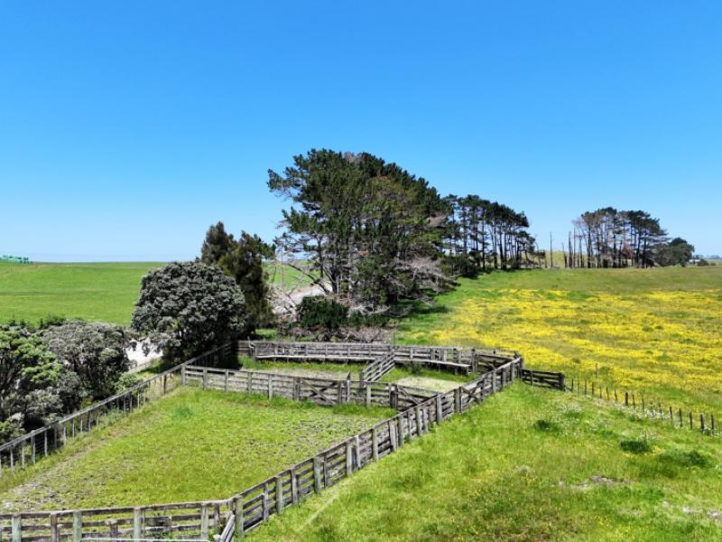 lot-2-scottys-camp-road-dargaville