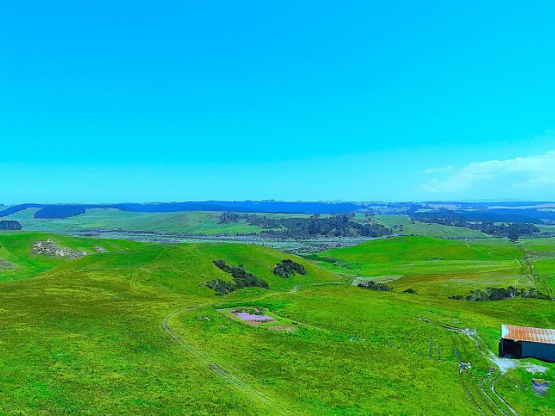 lot-2-scottys-camp-road-dargaville