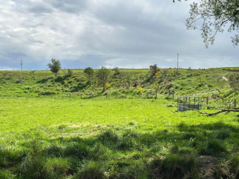 school-road-waipiata