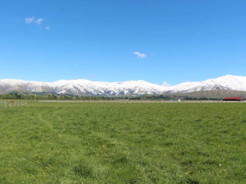 770-hamilton-road-ashwick-flat