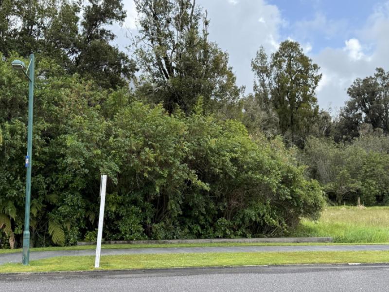 1-3-frames-road-fox-glacier