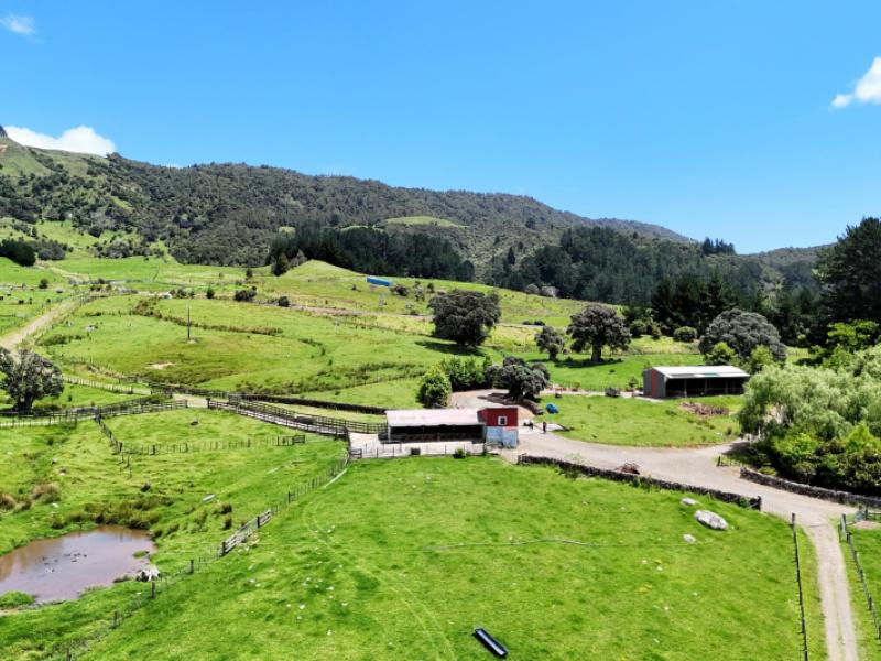 7046-state-highway-12-waimamaku