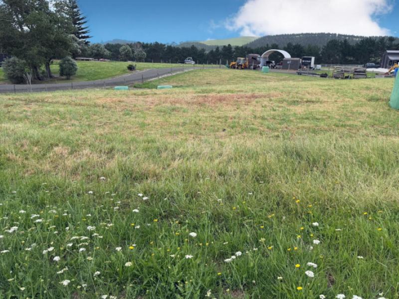 59-kai-iwi-lakes-road-dargaville