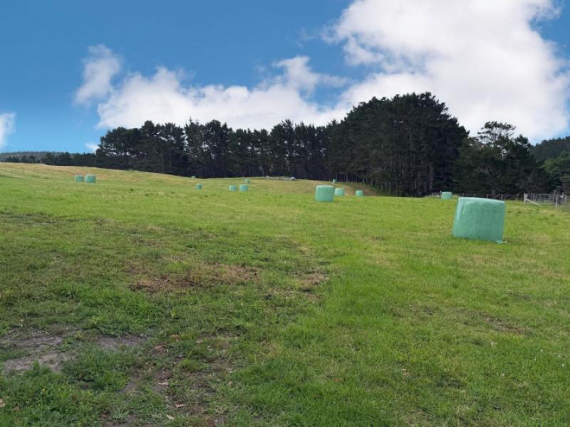 75-kai-iwi-lakes-road-dargaville