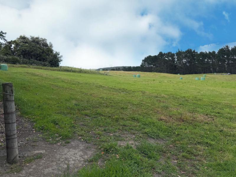 75-kai-iwi-lakes-road-dargaville