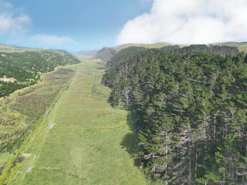 17-kai-iwi-lakes-road-dargaville