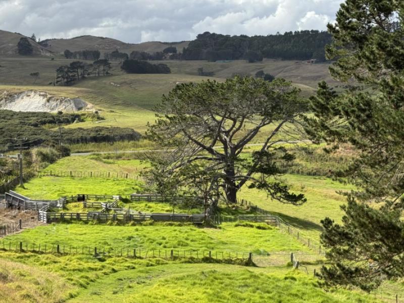 17-kai-iwi-lakes-road-dargaville