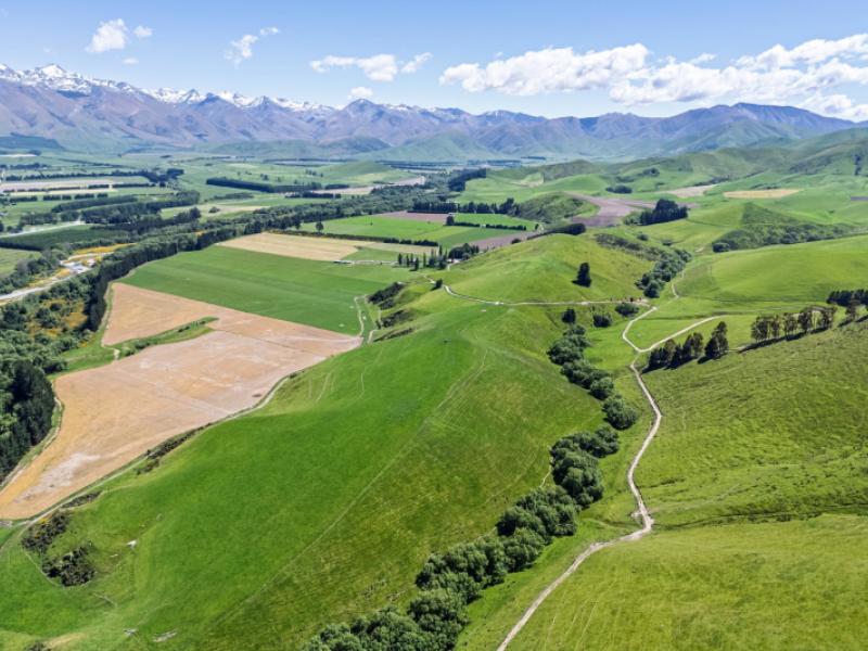 awarima-road-fairlie