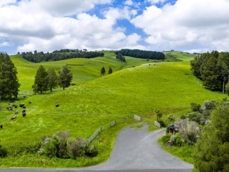 467a-te-mata-road-raglan