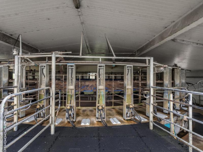 165-motu-road-opotiki