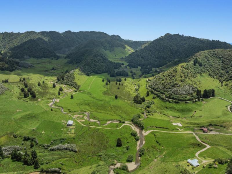 2060-motu-road-opotiki