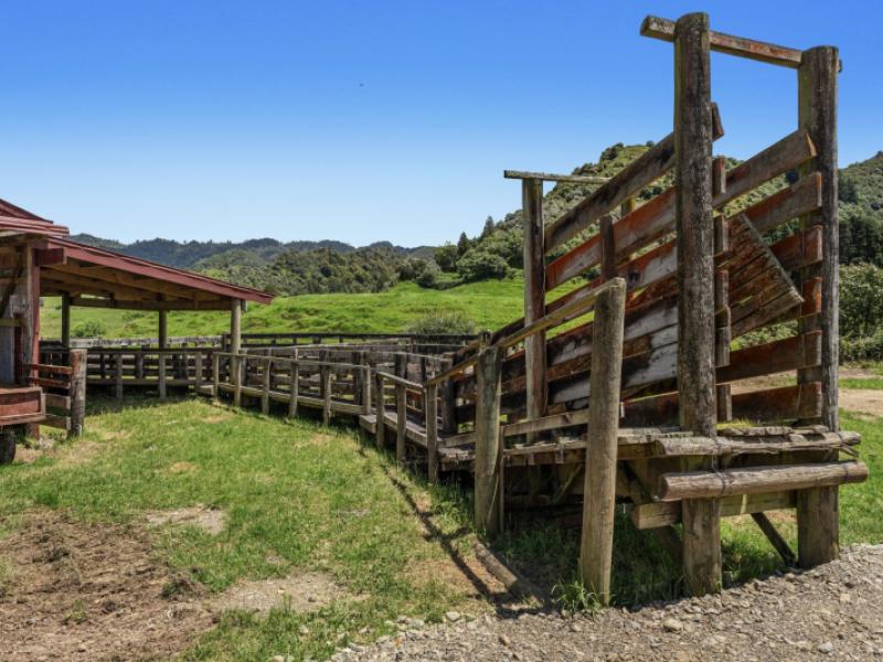 2060-motu-road-opotiki