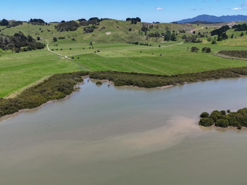 444-wharekawa-road-oue