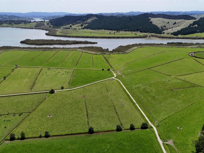 444-wharekawa-road-oue