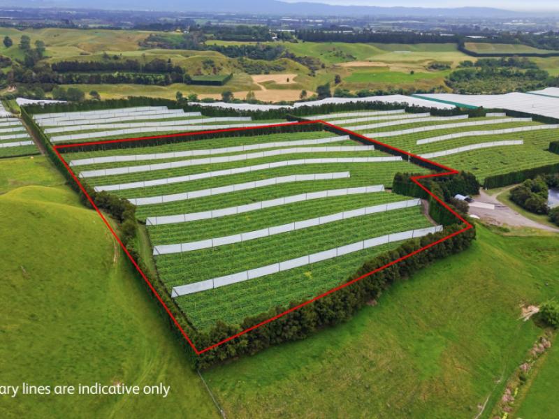 80-roydon-downs-road-paengaroa