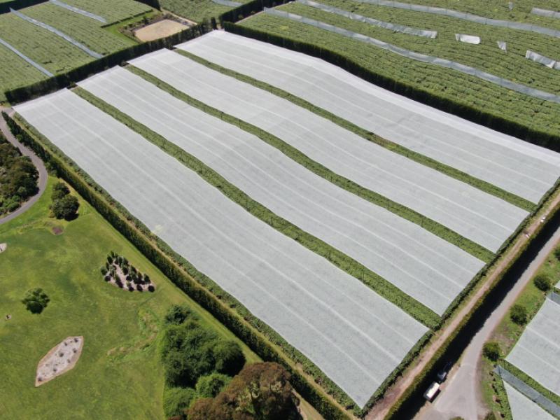 80-roydon-downs-road-paengaroa